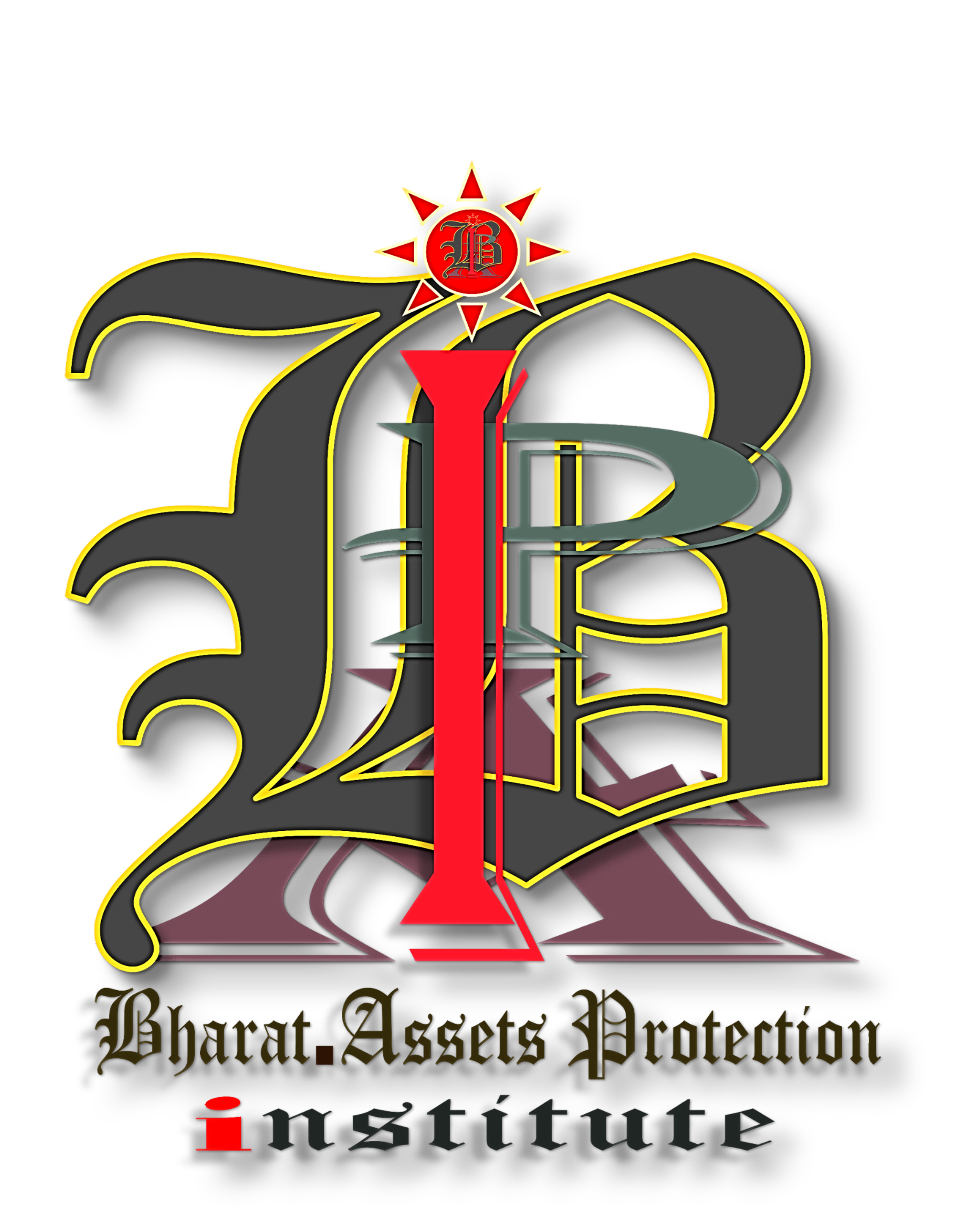 Bharat Assets Protection Institute